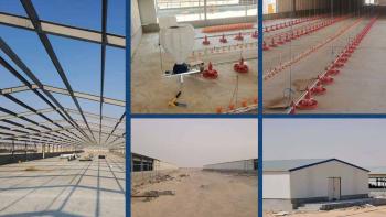 تركيب السياجات الأمنية والشبوك المعدنية